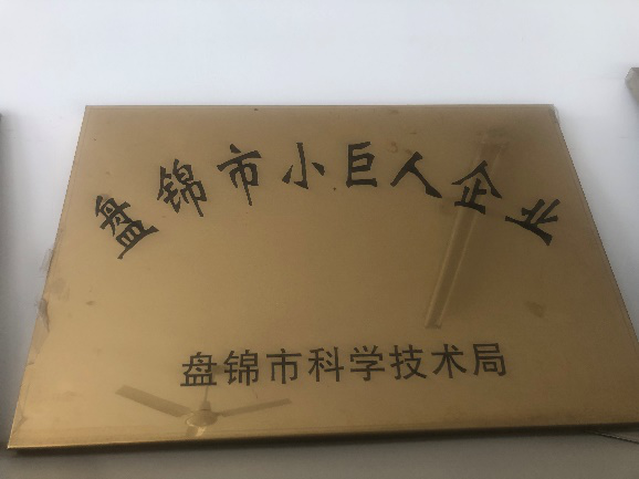 盤錦市小巨人企業(yè)獎(jiǎng)牌.png 盤錦市小巨人企業(yè)獎(jiǎng)牌.png